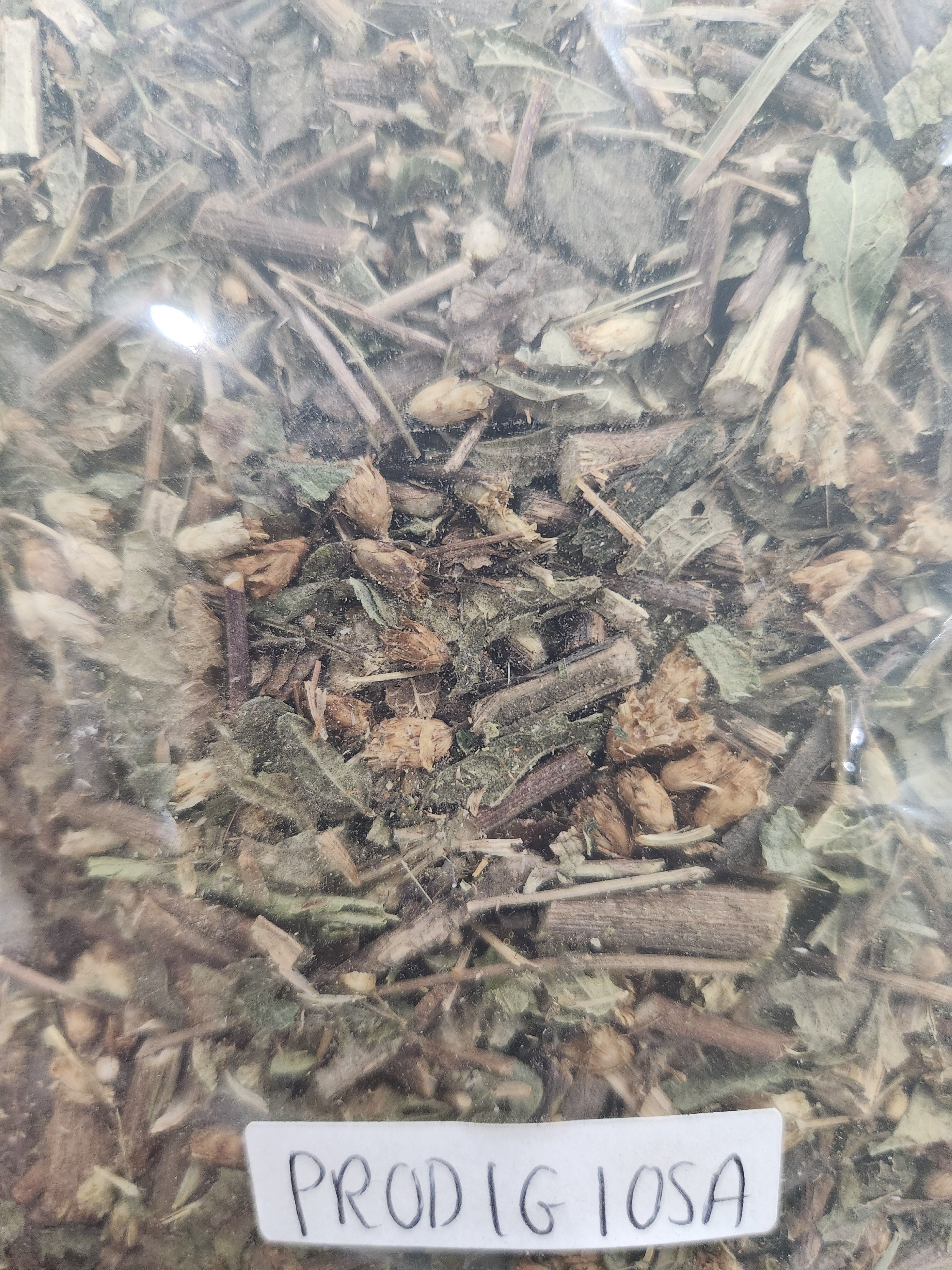 Dream Herb (Prodigiosa) | Lucid Dreaming & Mental Clarity