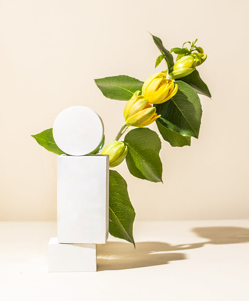 organic ylang ylang essential oil