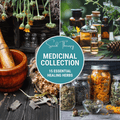 Medicinal Herb Seed Collection – 15 Varieties