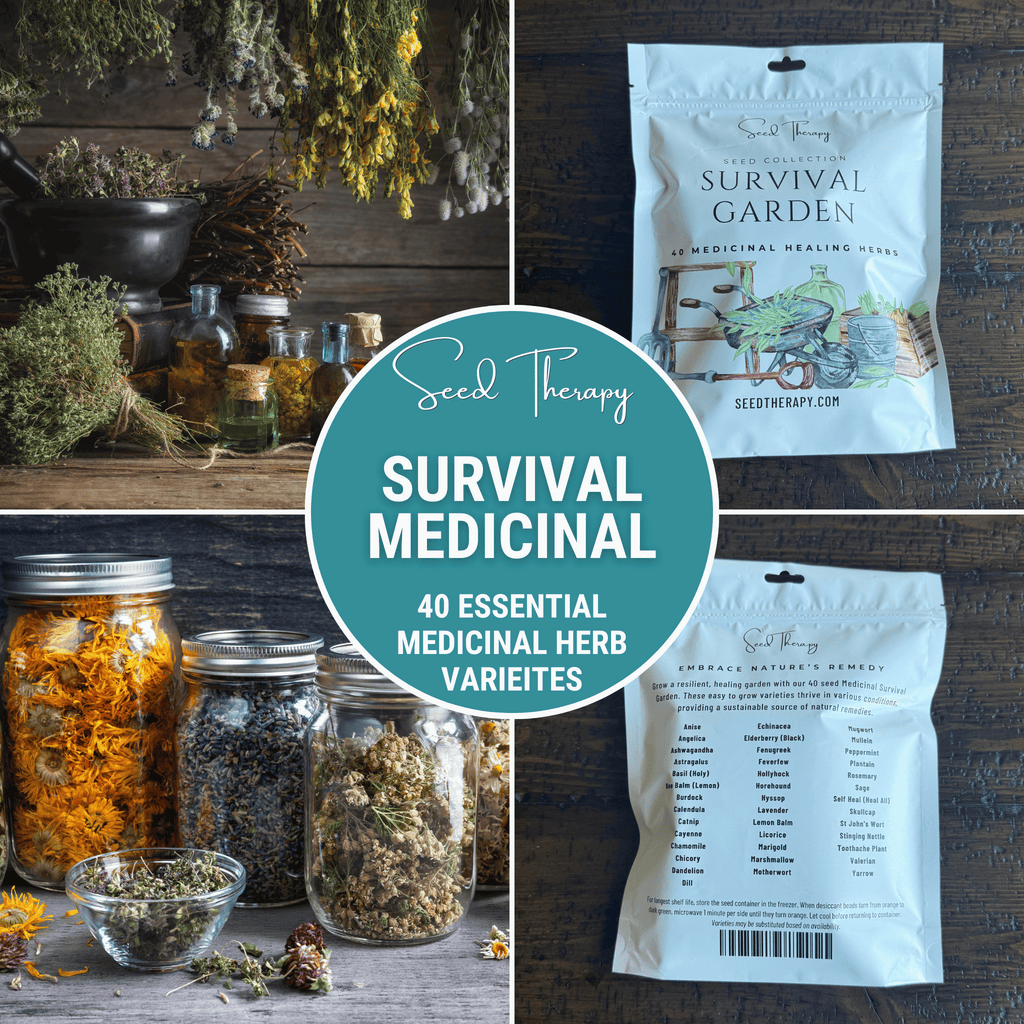 Survival Medicinal Herb Garden – 40 Essential Varieties