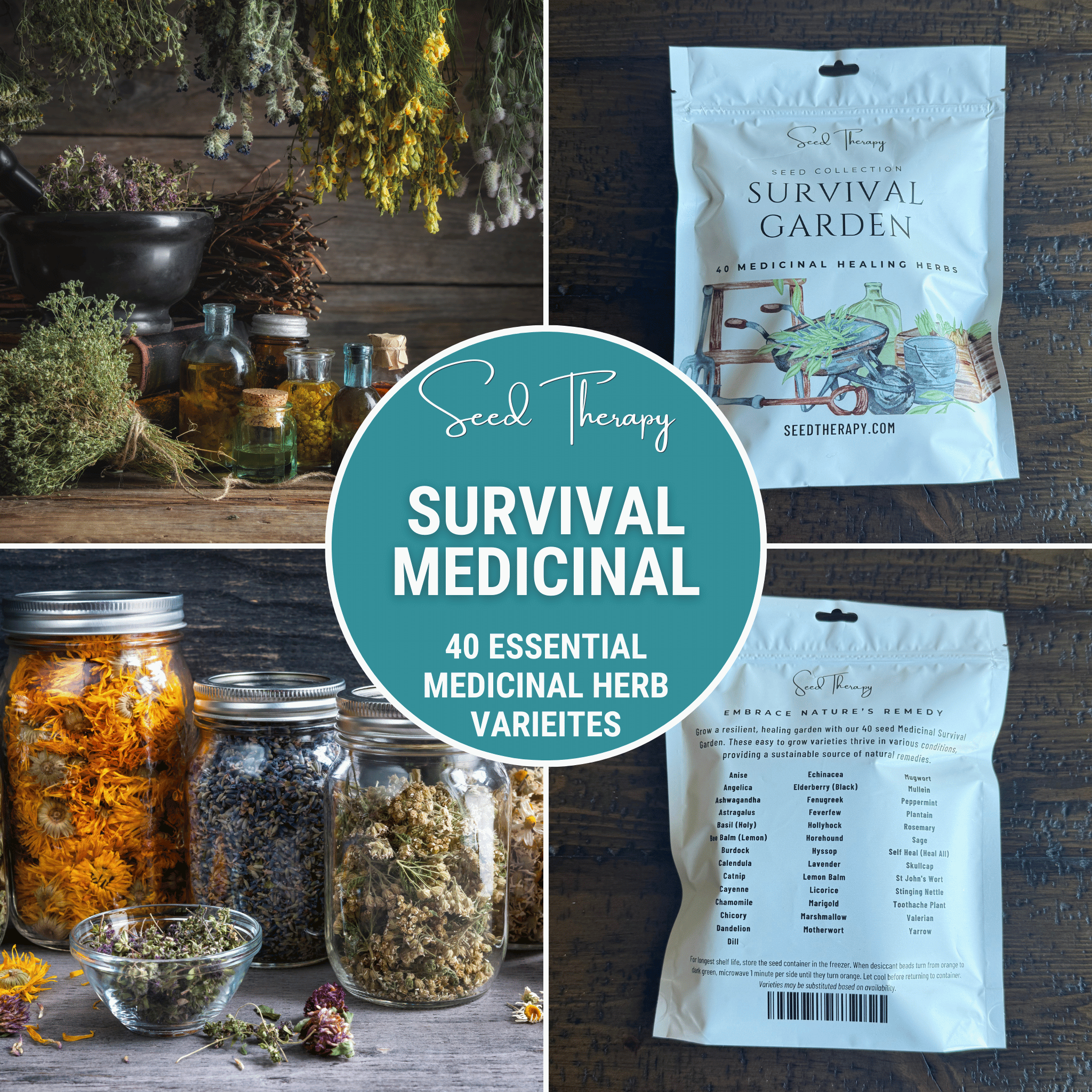 Survival Medicinal Herb Garden – 40 Essential Varieties